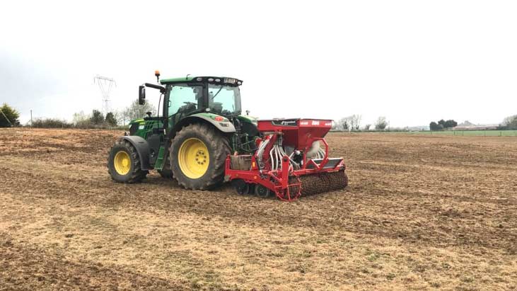 Corn Sowing Drilling