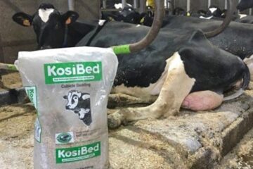 KosiBed Animal Bedding